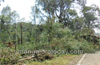 Kadaba : Strong winds wreak havoc in Siribagilu area